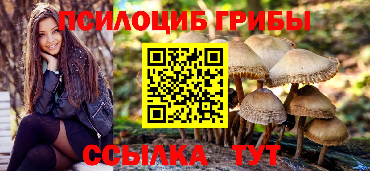 Галлюциногенные грибы GOLDEN TEACHER  Псилоцибиновые грибы GOLDEN TEACHER  Фролово  Вход с VPN 